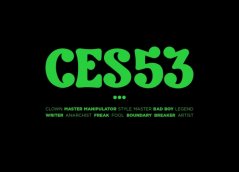 Ces53 Book