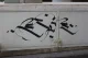 STREET REPORT-IZRAEL