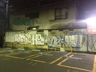CITY REPORT - TOKIO